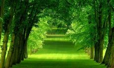 短小精悍又有深意的人生感悟语句