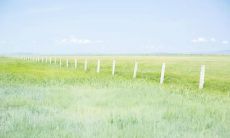 一些充满幽默感的句子，让你在三八节欢笑不断