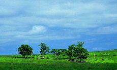 给客户发的雨后问候短信，让他们感受到你的关怀和认可