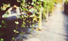 探讨亲情关系的重要性以及如何维系和加强亲人之间的联系的几个有意义的建议