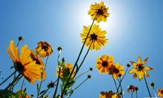 感动人心的深情陈述：表达对亲情的真挚感受的一些感人句子