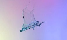 欢乐无限的探险之旅，让我们一起体验玩转大冒险的终极乐趣！