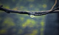 掌握积极心态的重要性：如何避免思考消极的话语和观念？