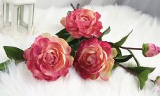 闪耀清晨阳光，洋溢幸福喜悦的美好描述