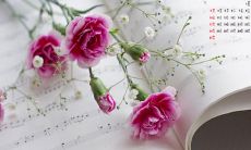 有哪些能够让人感到愉悦和喜悦的美妙句子？