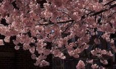 感人至深的关于亲情的抒情句子，以温暖之爱慰藉心灵