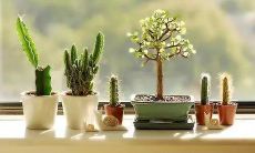 钞票胜于亲情——一句描述金钱至上的表述