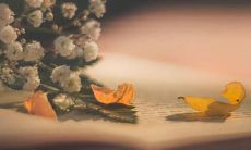 一些让你的小男友开心的句子，提升你们的恋爱关系！