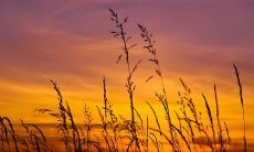 用幸福的泪水和欢乐的笑容交织而成的句子