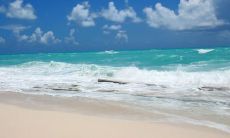 每天都开心过好每一天的10个优美句子