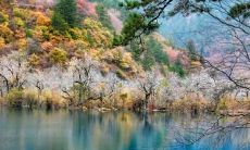 发扬正能量的开心句子，唯美句子引导过好每一天的人生