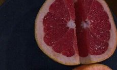 优美、简洁、朴素：让人感到唯美纯粹的句子