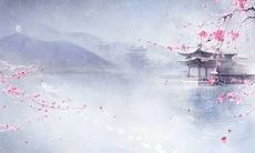 在我的青春岁月中，存在着具有深刻意义的友情所呈现出的句子