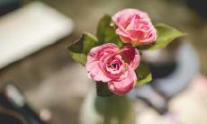 经典电影台词：在电影中描述友谊的感人句子，带你感受情谊的力量！