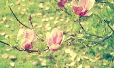 当我们用不同的方式表达友情时，有一句话是破例的：这世上有人会因为你的存在而感到开心！