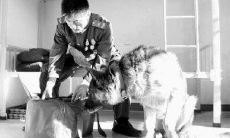 多感伤的诗句，表达离别之痛