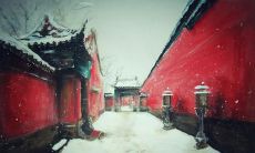 关于爱情和友情的比较，我们听过无数句话，但何以为真？那么，让我们来揭示真相——爱情不及友情的句子！