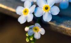 精选多组唯美英语友情句子，附翻译，让你感受友谊的温暖和美好