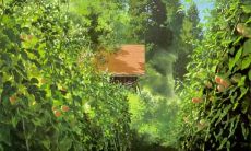 展现生活中细节之美的优美散文句子