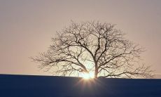 由于语法不明确，以下是两种不同的改写方法：