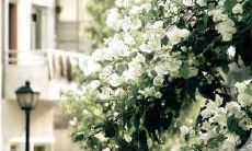 如何用感人至深的文字表达人与人之间最珍贵的亲情：一些令人动容的句子