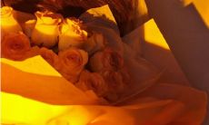 孩子般天真甜美的文案，为女孩子带来快乐活泼的氛围！