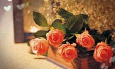 优秀幼师教师必备：适用于教学生活的鼓舞人心的格言座右铭