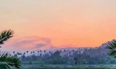 用失望的心情表达对生活与感情不满的长句子