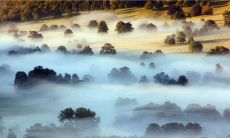 女性座右铭与格言：简短而有力的启示语对女性生活的指引