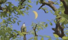 关于毕业季的温柔感人文案：倾情送别，感恩成长，毕业干净文艺文案等你来选！