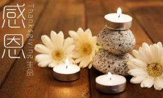 感恩相逢的美好时刻——致谢10个短句