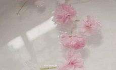 为儿童创造的简洁励志格言与座右铭，以激励他们克服困难、追逐梦想并成为自信、有责任心的个体