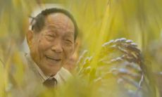 告别袁老，送上致敬之声——感慨万千的说说，向袁老致以崇高的敬意