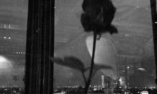 女孩失恋后的悲伤文案分享：让你痛哭流涕的伤心失恋说说