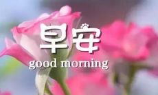 分享简单明快的朋友圈晨语说说，适合用来表达早安的句子