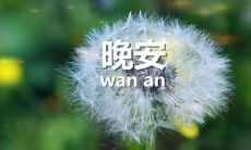 精神宝藏！每晚睡前撞见的温馨晚安心语，助你走向更美好的人生！