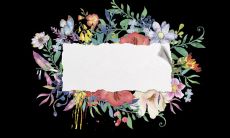 用长句改写标题：“一句让人倍感温暖的深厚友谊语句——流淌着真挚感情，涌动着欢乐心情”的长标题