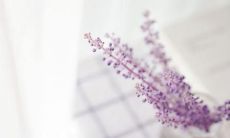 享受伴侣陪伴的愉悦时光：一系列让你开心的结伴同游句子！