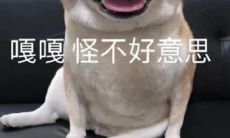 颇具荒诞感的广告文案