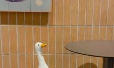 分享给好友的快乐与幸福：让你打开朋友圈沉浸在美好文案的世界里