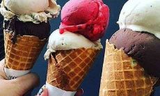 夏日轻柔气息：一系列细致动人的文案短句