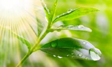 运动后的欢乐场：让您无限开心的运动经历！