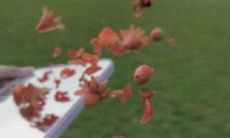 ——读后感受深刻的句子，值得被引用和传颂的经典语句