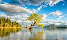 享受夏日水上活动的最佳感觉：尽情玩水，畅快表达心情