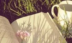 2022最适合用于微信置顶的文艺句子：这些非常唯美和饱含深意的文案将点亮您的微信界面！