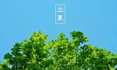 35句美妙的句子，展现立夏时节的美丽景色和气息