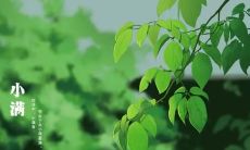 小满节日祝福语，让你的祝福更加充实和贴心