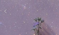 探寻出发点独特、语言富有想象力的小众文案，令人惊艳心扉