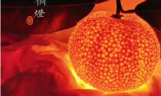 抖音上走红的小橘灯照片搭配精彩文案的热门视频