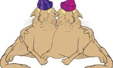 精彩的友情描写：《七月与安生》中最打动人心的表现深情的句子